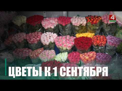 В тренде 1 сентября – подсолнухи, розы и хризантемы. Вести торговлю цветами могут не только предприниматели и организации, но и обычные садоводы видео
