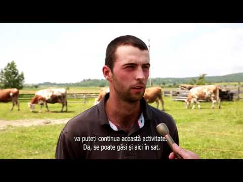 Tájkép 2015. augusztus 26. – Erdélyi Magyar Televízió