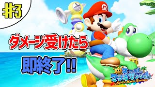 激突したら即終了する悲劇のイカサーフィン【スーパーマリオサンシャイン】