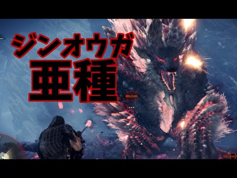 【アイスボーン】ジンオウガ亜種　ライト　徹甲榴弾