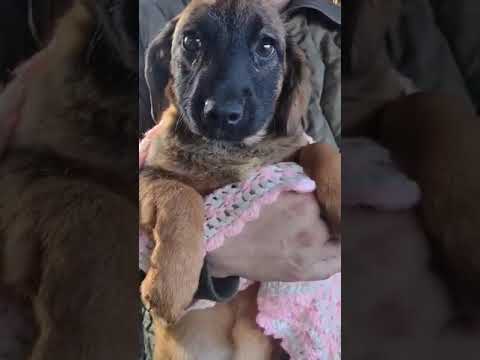 MUNIRA - Ausgereist 28.12.2021