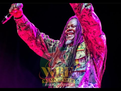 Luciano Performance at Westchester Reggae Festival 2023