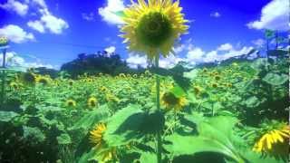 夏影 piano