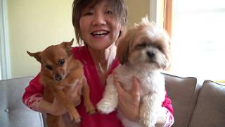 NCBF Recording project.. "All from your own home"