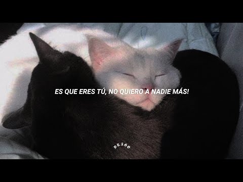 Nsqk - NADIE MÁS! [Letra]