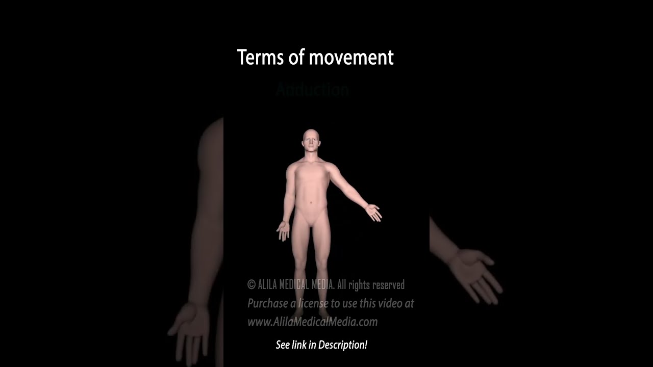 Anatomical Terms #anatomy #science #medicalanimation #biology