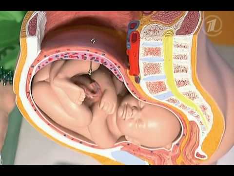 Как вылечить аутоиммунные болезни