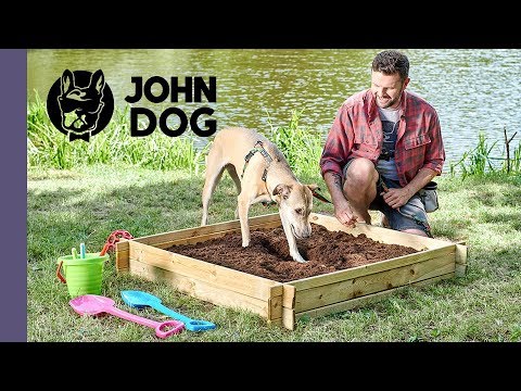Jak oduczyć psa kopania dziur? - TRENING PSA - John Dog