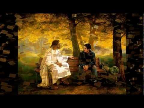 Brilla - Darwin Lechler