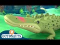 Octonauts The Saltwater Crocodile Cartoons For Kids Underwater Sea Education