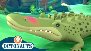 Octonauts - The Saltwater Crocodile  Cartoons for 