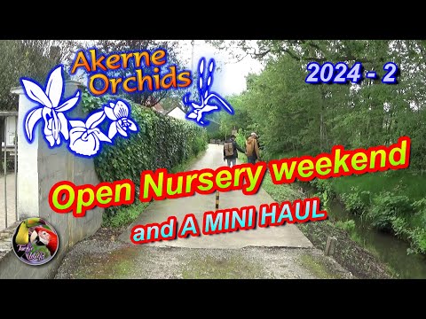 Akerne Orchids - 🥳 Open Nursery weekend 2024 🎈 + 🌸 Mini Haul 🌸 (June 2nd, 2024)