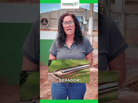 ? ? Falta de Energia na Avicultura??