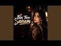 Bin Tere Sanam Mar Mitenge Hum