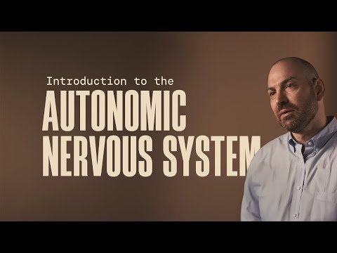 A Guide to HRV: Introduction to the Autonomic Nervous System