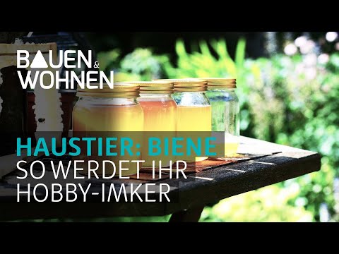 Das muss ein Hobby Imker wissen