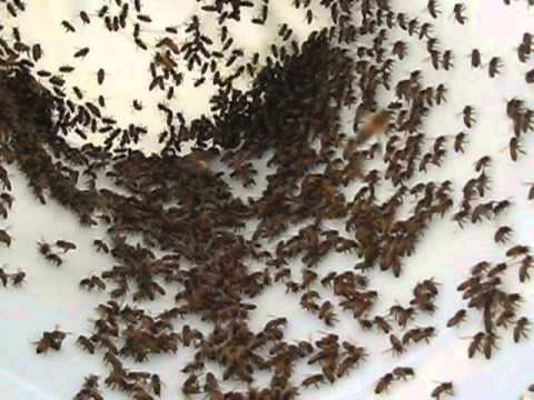 Aj aj, jag glömde bort