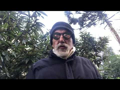 Wallace de Mello e Silva prefeito de Curitiba