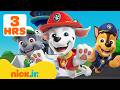 PAW Patrol Best MARSHALL Moments ️ 3 Hour Compilation Nick Jr