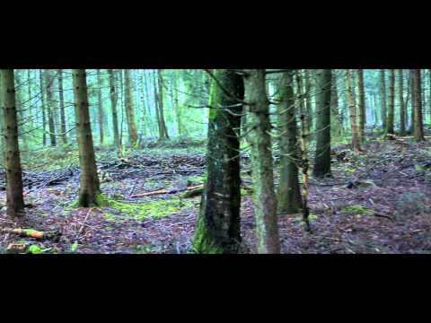 MQ - Reinkarnation feat.  Jahmool (Official Video)