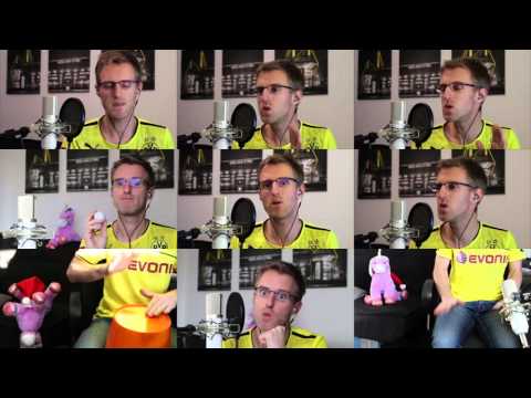 DerMuri - Somebody That I Used To Know ACAPELLA