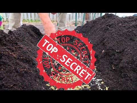 , title : 'TWO Secret Ingredients For HUGE Potato Yields'