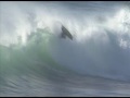 Best of Bodyboarding Autumn '10 (dbah)