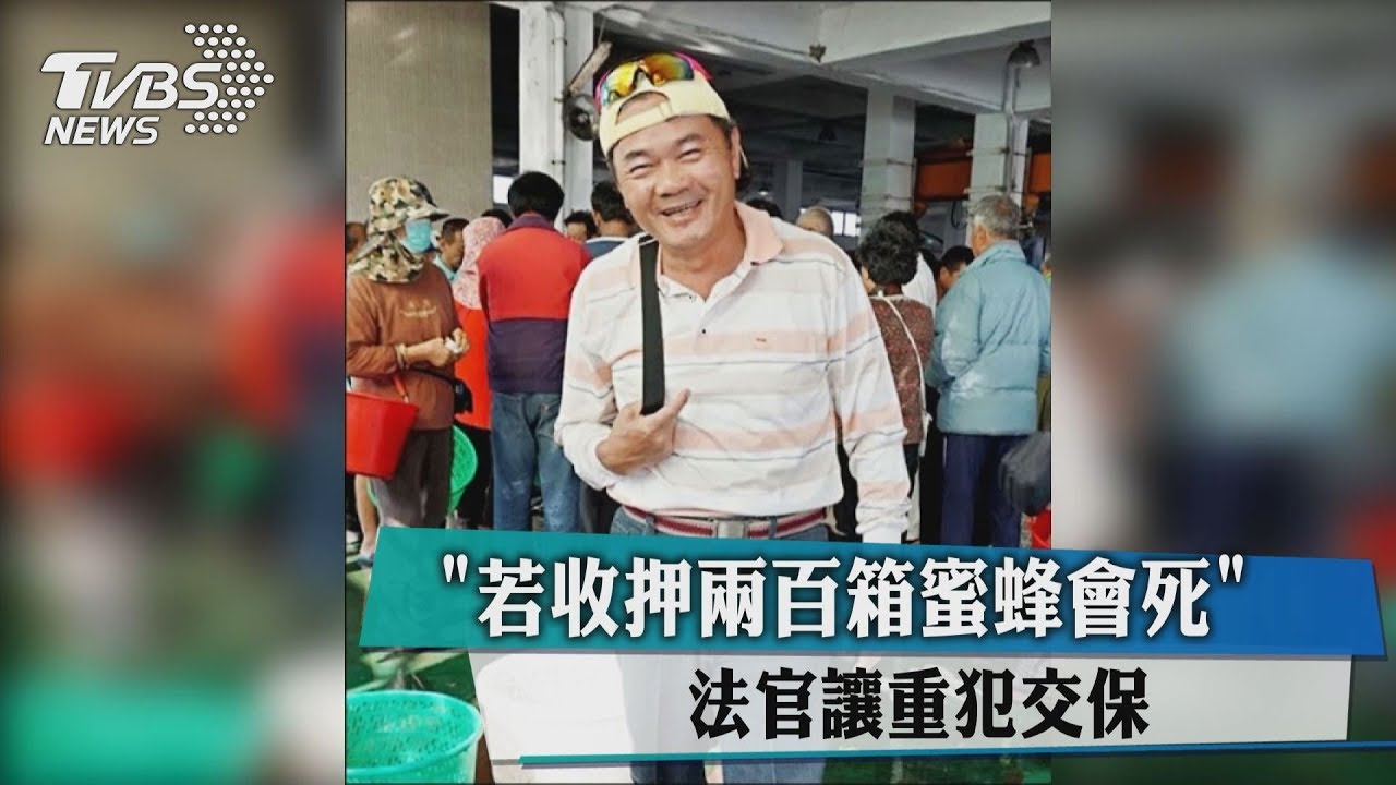 「若收押兩百箱蜜蜂會死」　法官讓重犯交保
