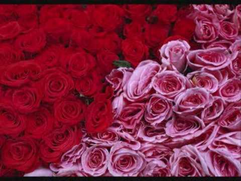 Weezer - I Don't Want Your Lovin'