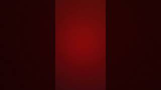 Terrorgruppe mein papa