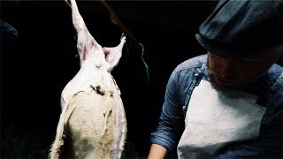 The (HARD) Reality of Farm Life ~ Killing our Sheep before the Parasites Do