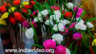 Colourful flowers at Dilli Haat  