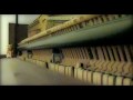 Steve Dawson - Preaching To The Choir (Official Video)