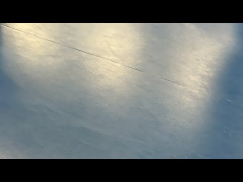 T12 Ervi-Oilers Black