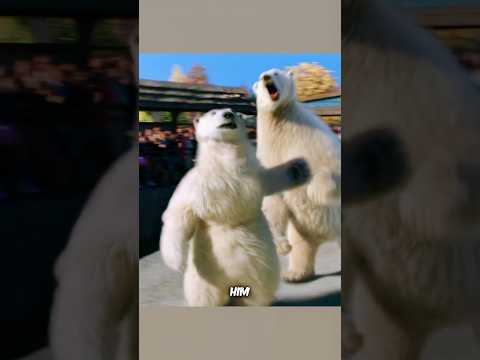 In This Zoo, Animals Were People 😱