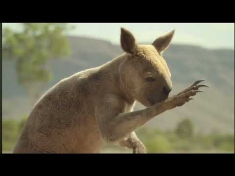 Megalania & Thylacoleo | Prehistoric Planet: Ice Age | OFFICIAL CLIP