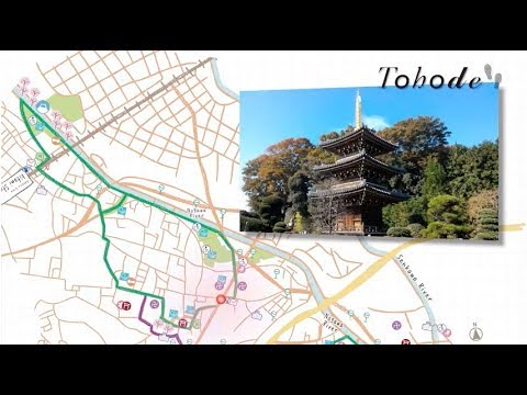 Tohode~Bird watching and temples & shrines route/Panoramic Course of Tamagawa River & Nogawa stream