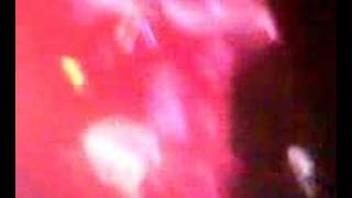 la belle et la bete - babyshambles, kate moss