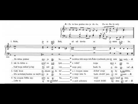 Žalm 63 - Svätej Márie Magdalény, 22. júl - "Za tebou prahne moja duša, Pane, Bože môj"