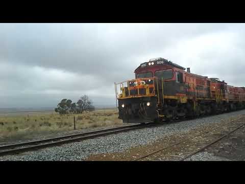 Genesee & Wyoming Grain Train Passing Edillilie South Australia with Locomotives 906 859 & 1203