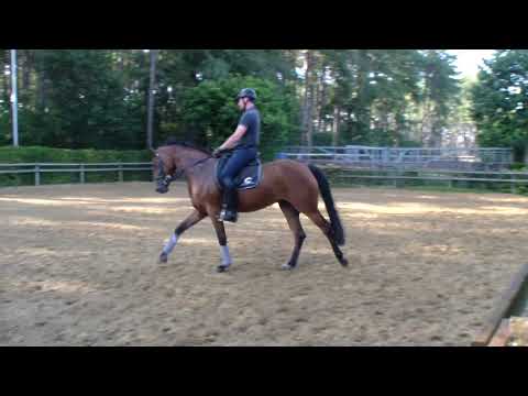 Dante Weltino x Rubinstein x Ramiro