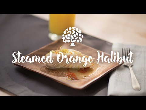 download lagu mp3 mp4 Orange Halibut, download lagu Orange Halibut gratis, unduh video klip Orange Halibut