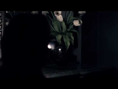 PL5398 Castração Química