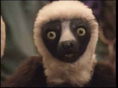 Zoboomafoo: Eye Spy (HQ) Part 2/2