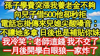 孫子學費突漲我養老金不夠，向兒子借500他卻秒拒，電話忘掛傳來兒媳尖酸嗓音：不讓她多拿 日後也是補貼你妹，我冷笑：老師這錢 我不交了，一月後開學白眼狼一家炸了真情故事會|老年故事|情感需求|養老|家庭