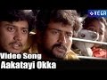 Donga Donga Movie || Aakatayi Okka Video Song
