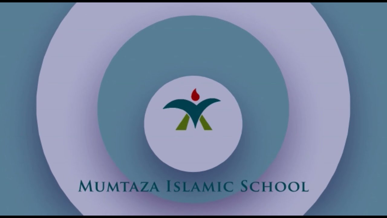 Squares, Rectangles and Triangles | Math Primary 3