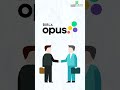 Joining Hands With Aditya Birla Opus Grasim Industries