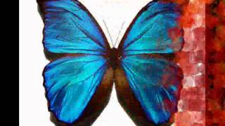 Mustafa Özarslan-Şu Fani Dünyada (Haydar Ozcan)