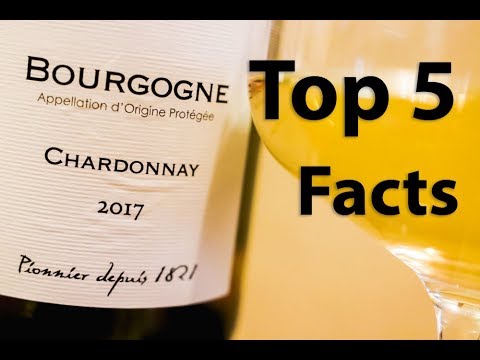 Chardonnay-Wein 101 – Ein Leitfaden für Anfänger